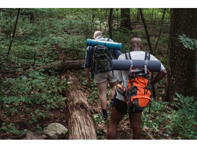 Hiking Buddies Wanted — Weekend Trails